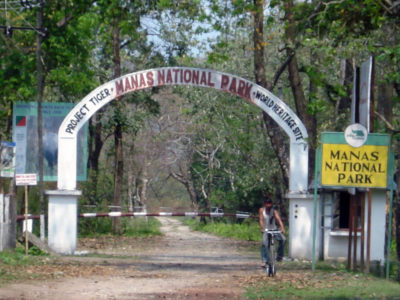 manas-national-park