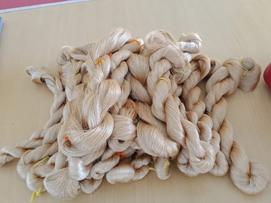 Muga Raw Silk