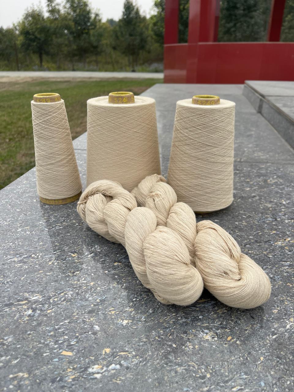 Gallery Image 15