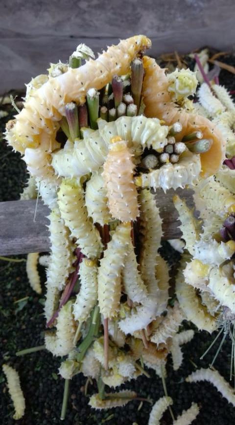 Gallery Image 13