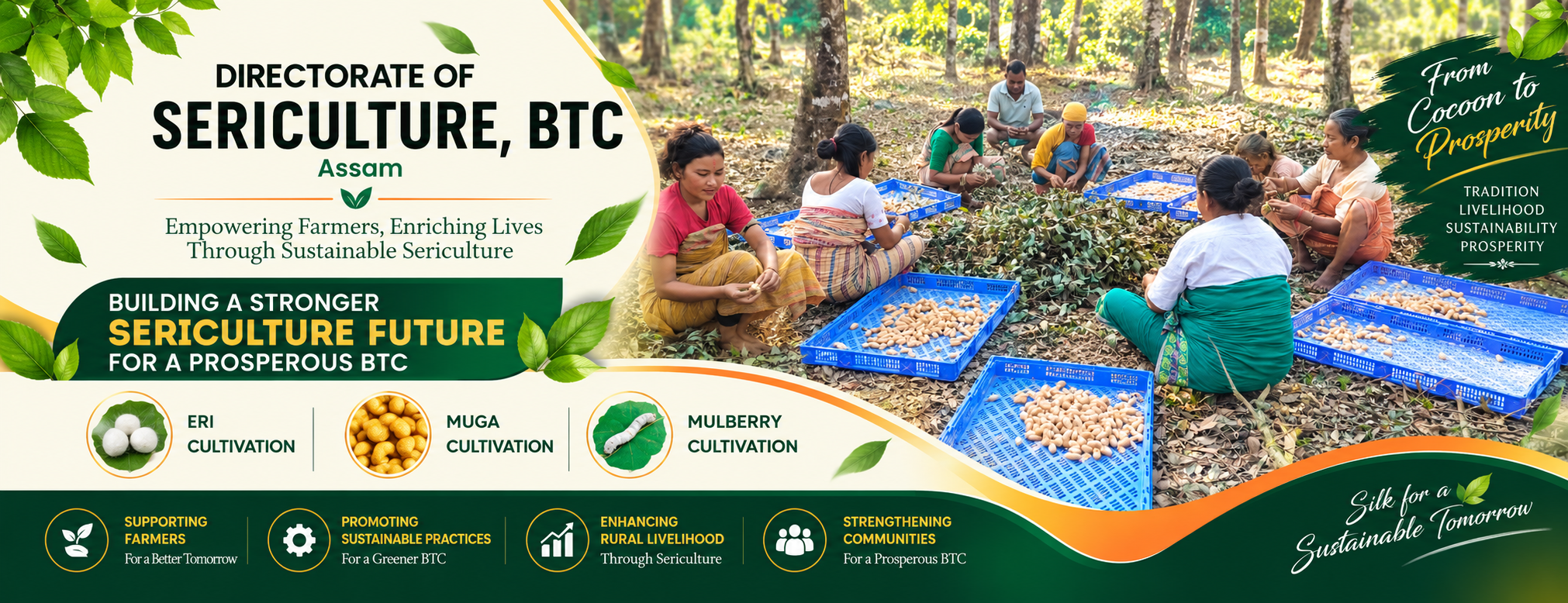 Sustainable Sericulture for a Prosperous BTC